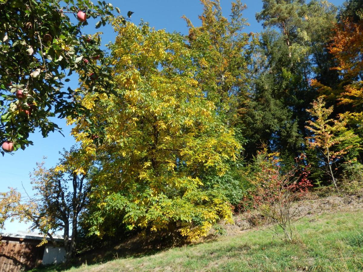 Naturoase Muehlviertel Sankt Johann am Wimberg Екстер'єр фото