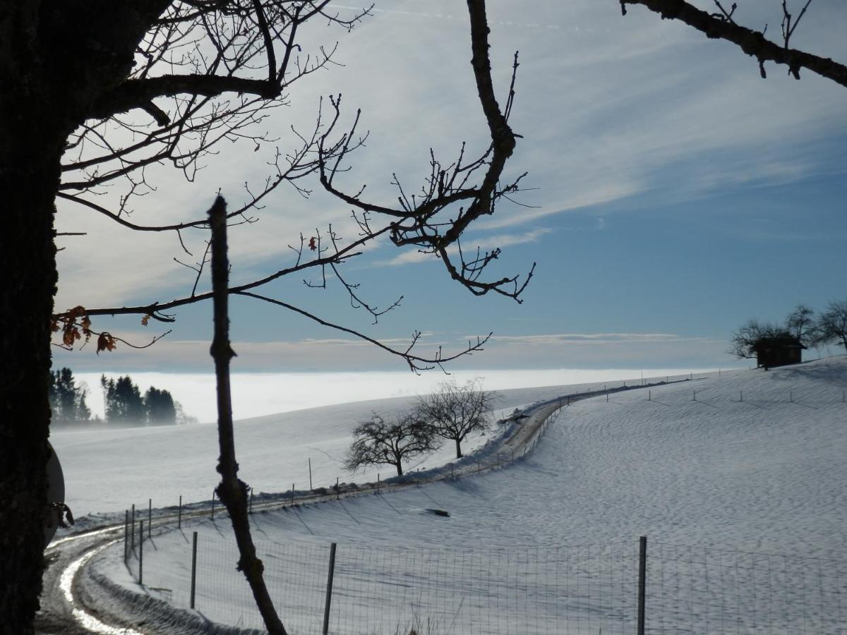 Naturoase Muehlviertel Sankt Johann am Wimberg Екстер'єр фото