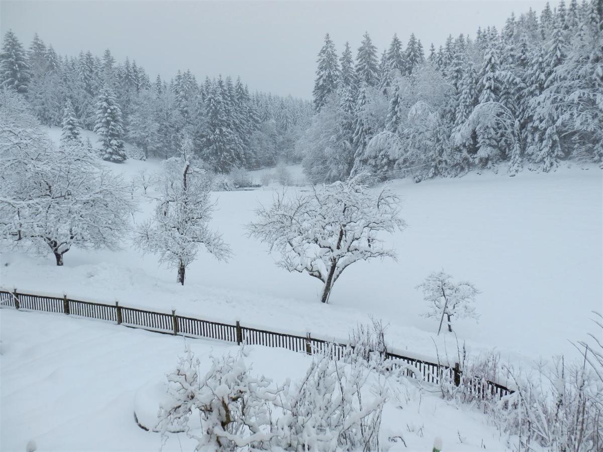 Naturoase Muehlviertel Sankt Johann am Wimberg Екстер'єр фото